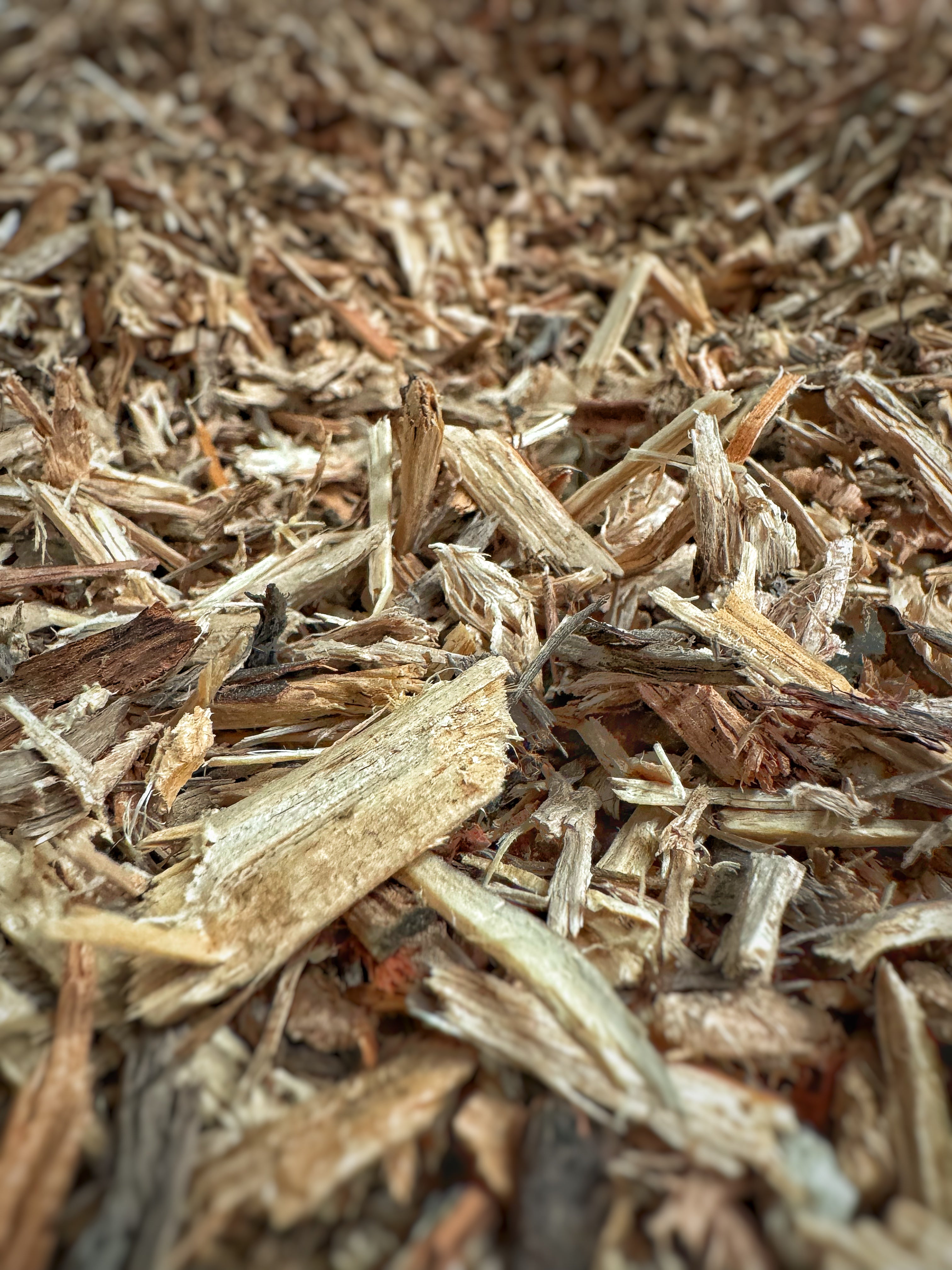 Trituración y molienda de Biomasa